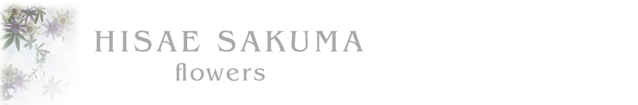 HISAE SAKUMA flowers_佐久間久枝